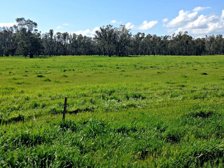 Click to view all images Leeton NSW 2705 - Image 3