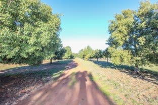 Click to view all images "Kimberley/34 Lachlan Street Grong Grong NSW 2652 - Image 2