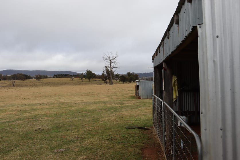 Click to view all images 321 Bukeiro Road Walcha NSW 2354 - Image 2