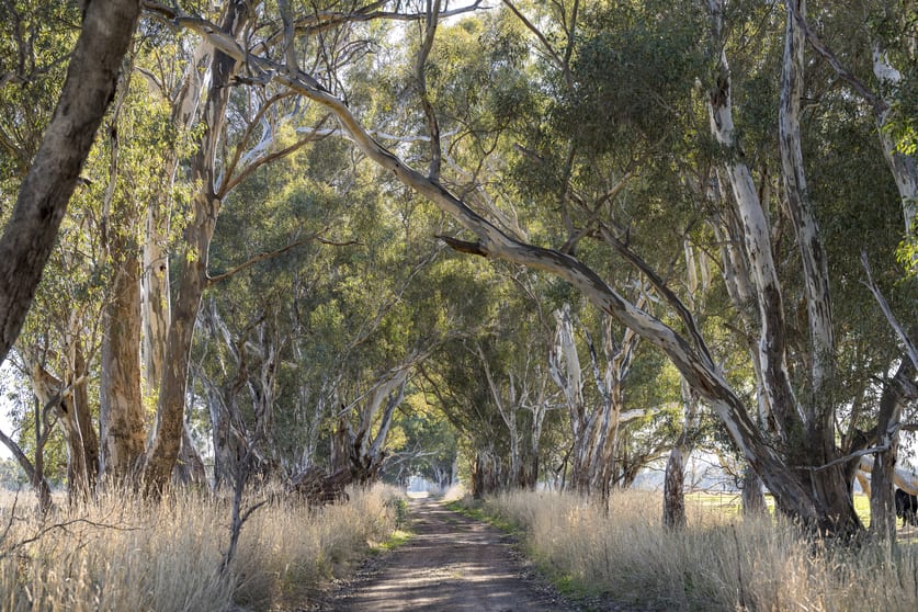 Click to view all images CA34 and CA42 Rothesay Road Tatong VIC 3673 - Image 3