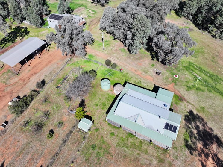 Click to view all images 'Belmont' 71R Maiala Road Eumungerie NSW 2822 - Image 1