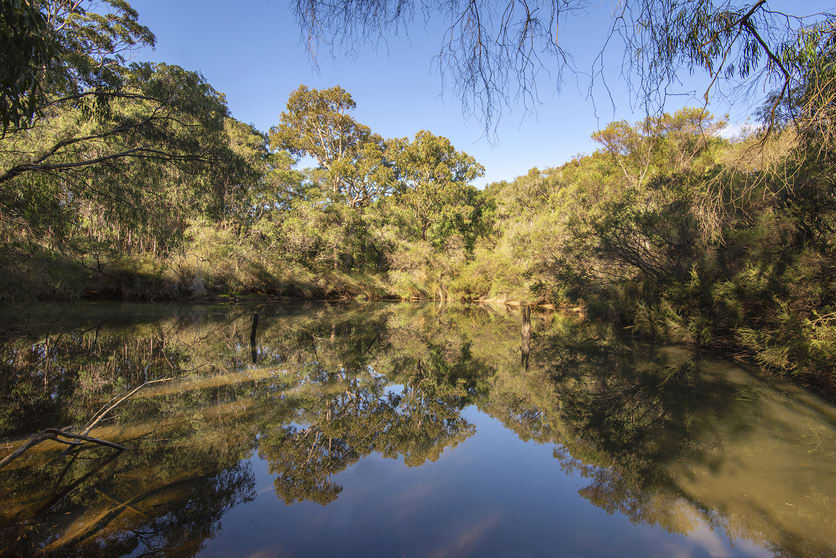 Click to view all images 7031 Caves Road Redgate WA 6286 - Image 3