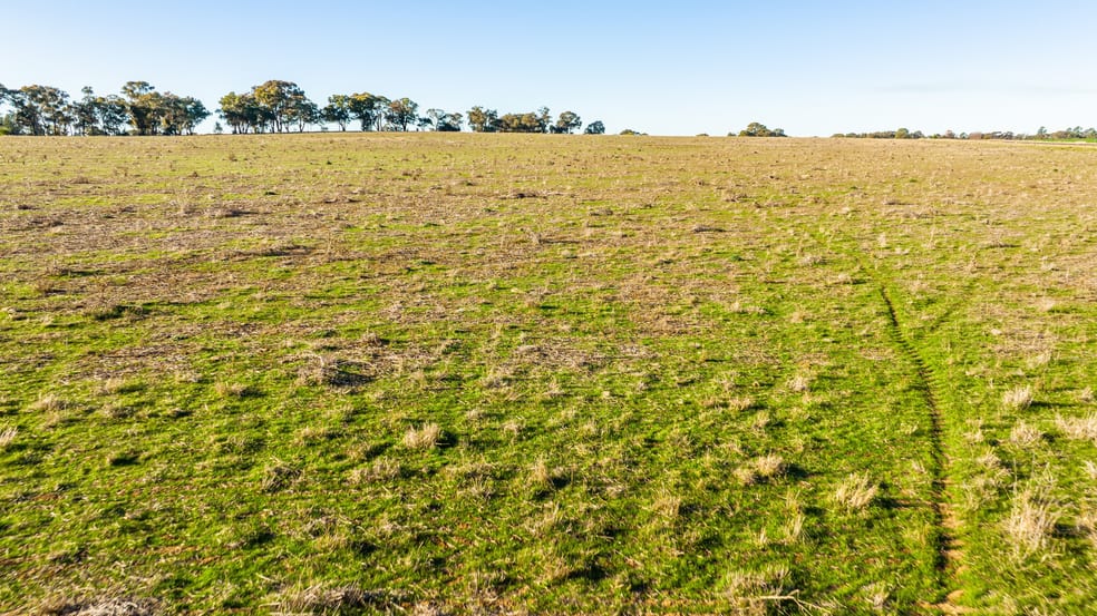 Click to view all images Grails Road Rutherglen VIC 3685 - Image 3