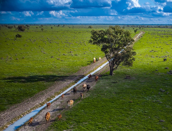 'Trewilga' Coonamble NSW 2829 - Image 2