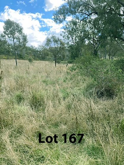 Click to view all images Lot 167 Haden Crows Nest Road Plainby QLD 4355 - Image 2