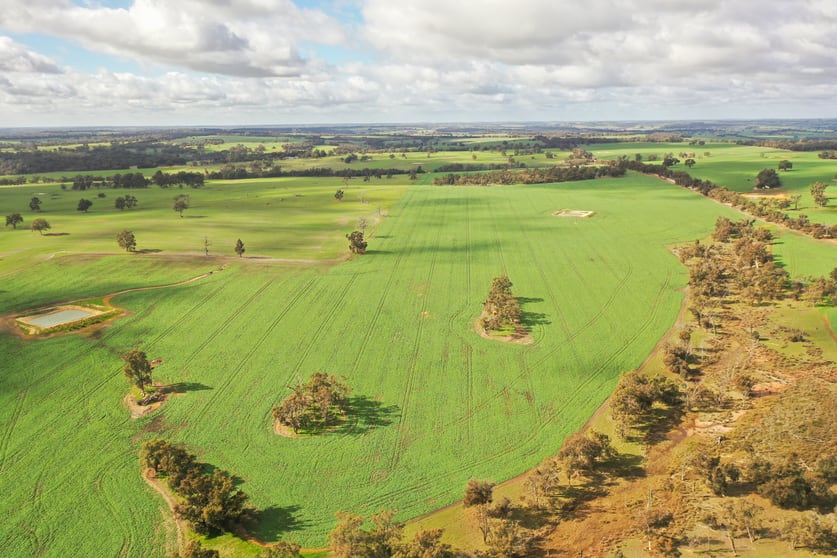 Click to view all images Lot 2 Ashe Road Jingalup WA 6395 - Image 2