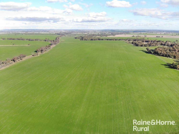 Click to view all images Gerrybang Road Grenfell NSW 2810 - Image 1