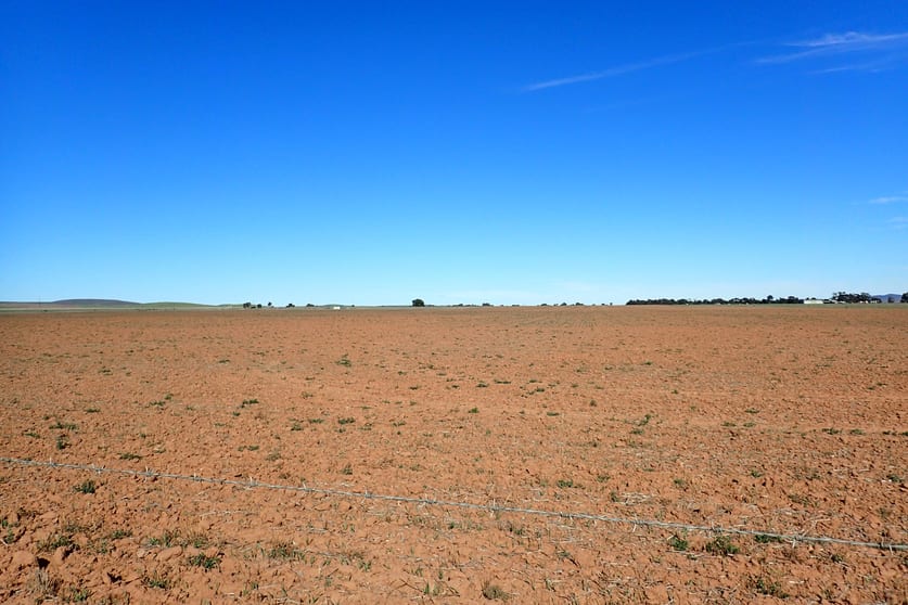 Click to view all images Sec 645, 646, 647, 6 Penshurst & Quinn Road Booborowie SA 5417 - Image 1