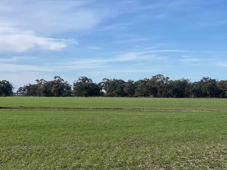 Click to view all images Warracknabeal VIC 3393 - Image 1