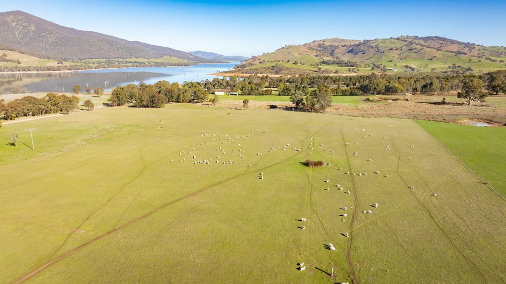 Click to view all images 'Boxbourne North'/2445 Wymah Rd Wymah NSW 2640 - Image 2