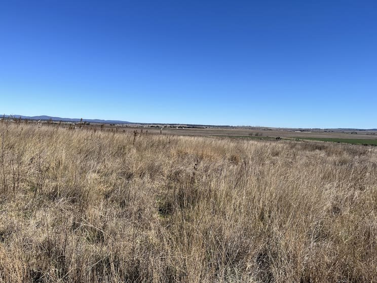 Click to view all images 321 Box Road Loch Lomond QLD 4370 - Image 3