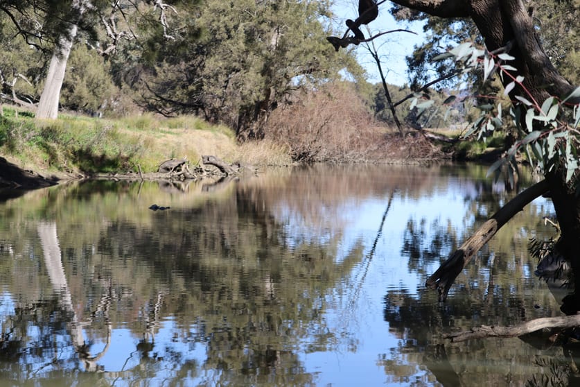 Click to view all images 1/738 Kaludabah Road Mudgee NSW 2850 - Image 3