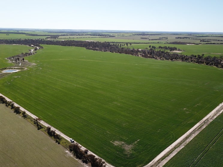 Click to view all images 6352 Scotchmans Road Gnowangerup WA 6335 - Image 1