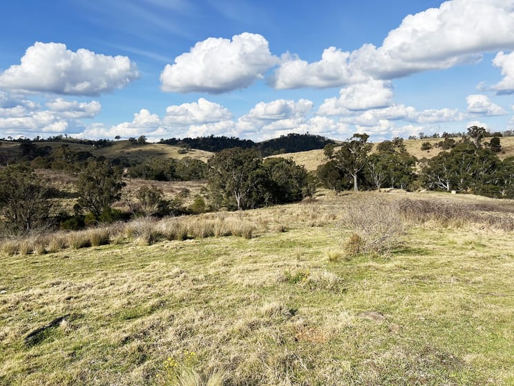 Click to view all images 43/940 Hanworth Road Bannaby NSW 2580 - Image 2