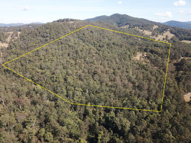 Click to view all images 85 Misty Ridge Road Bellangry NSW 2446 - Image 1