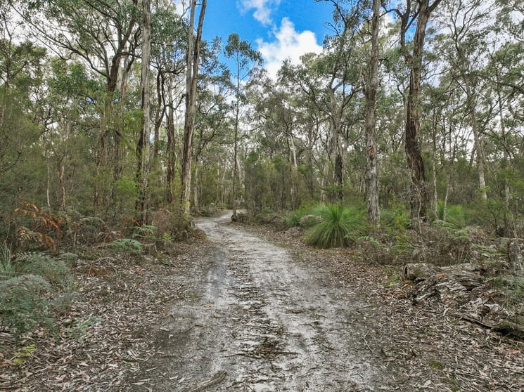 Click to view all images 245 McCalls Road Yeodene VIC 3249 - Image 2