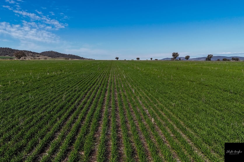 125 Clift Lane Currabubula NSW 2342 - Image 1