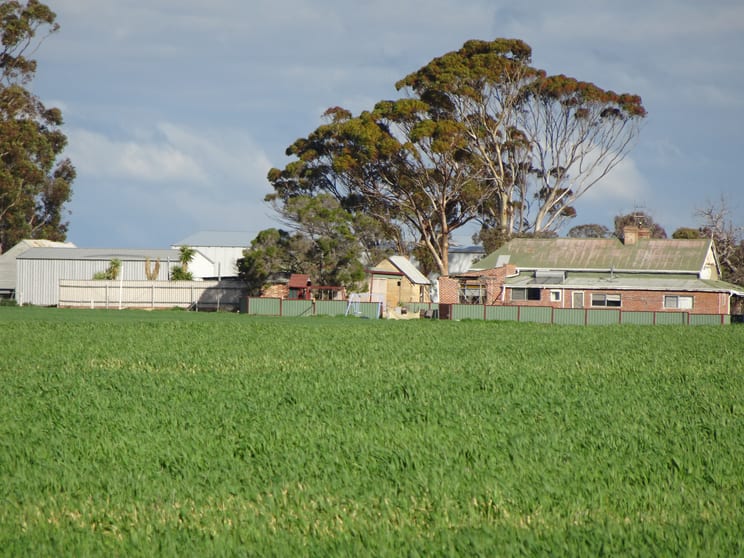 Click to view all images 452 Painters Road Collanilling WA 6315 - Image 1