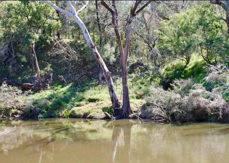 Click to view all images Lot 7 Gibraltar Road Tenterfield NSW 2372 - Image 1