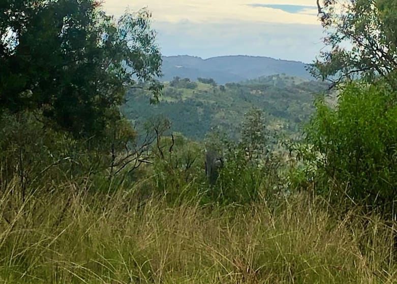 Click to view all images Lot 7 Gibraltar Road Tenterfield NSW 2372 - Image 2