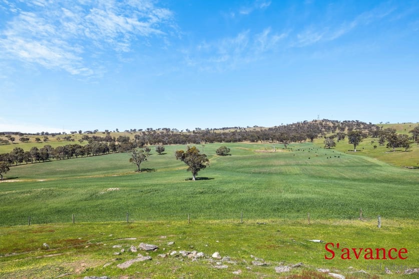 Click to view all images Lot 50 Fendlers Road Tungkillo SA 5236 - Image 2