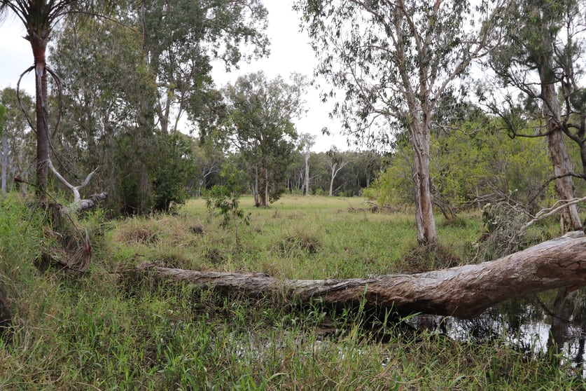 Click to view all images 0 JOSKELEIGH RD, Joskeleigh QLD 4702 - Image 3