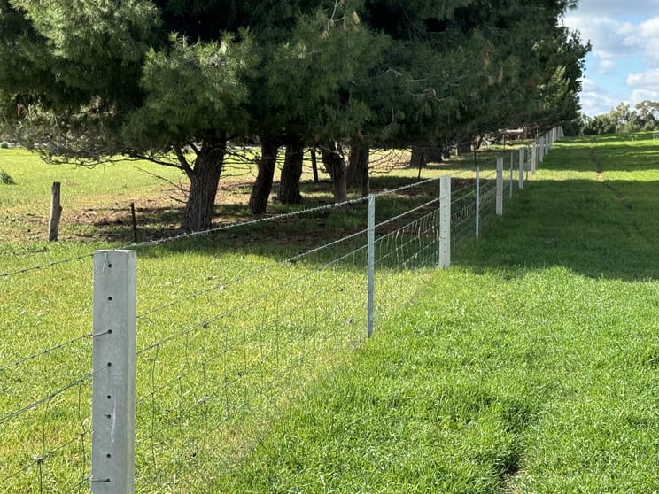 Click to view all images 2018 Burraboi Road Wakool NSW 2710 - Image 2