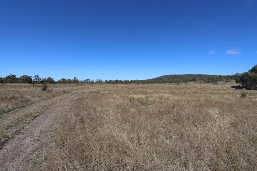 Click to view all images 0 WEALE CREEK ROAD Dalma QLD 4702 - Image 1