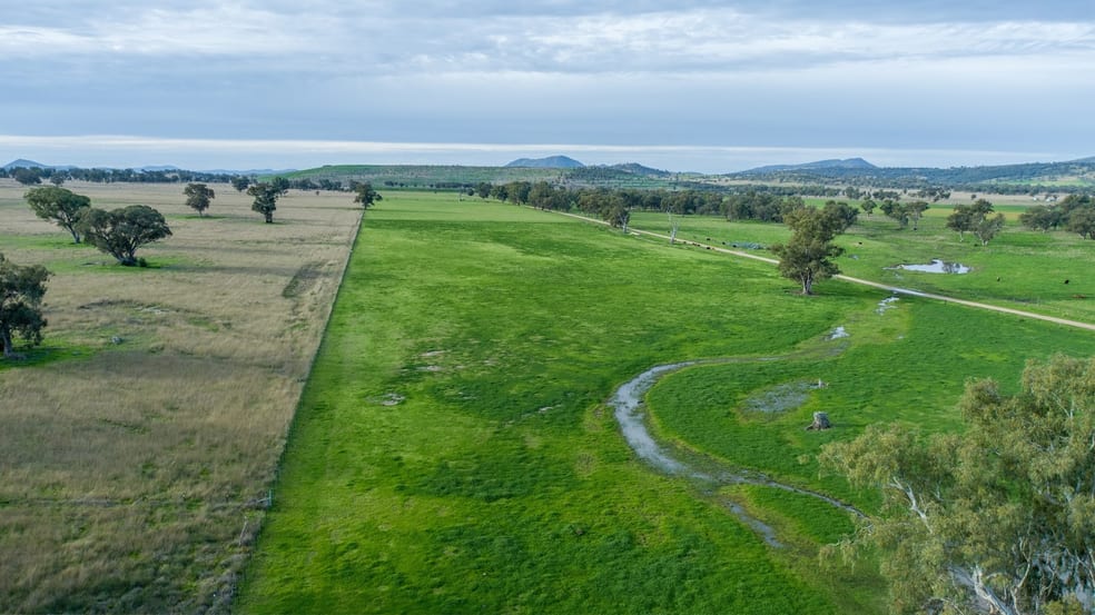 Click to view all images 83 Wadwells Quirindi NSW 2343 - Image 2