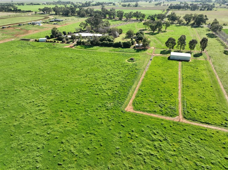 Click to view all images 'Willow Tree' 14L Dulcidene Road Terramungamine NSW 2830 - Image 3