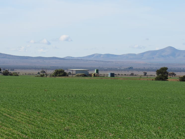 Click to view all images Lot 91 Chapman Road Walloway SA 5431 - Image 2