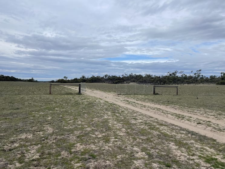 Click to view all images 1287 Baan Hill Road Lameroo SA 5302 - Image 1