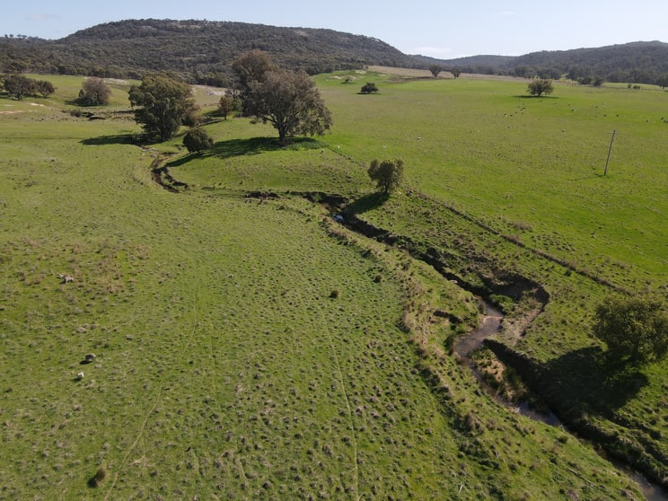 "Glenroy" 165 Bald Hills Road Grenfell NSW 2810 - Image 3