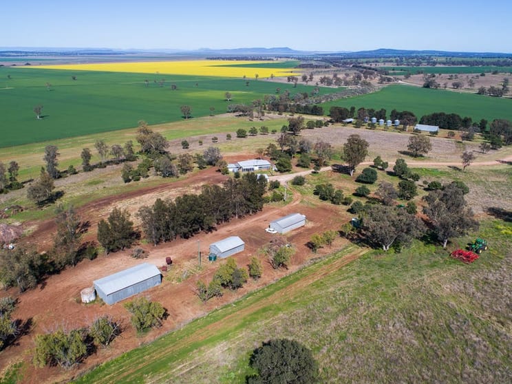 131 The Dip Road Breeza NSW 2381 - Image 3