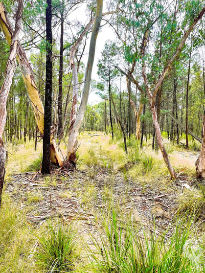 Click to view all images 7/1037 Westport Road Jacks Creek NSW 2390 - Image 1