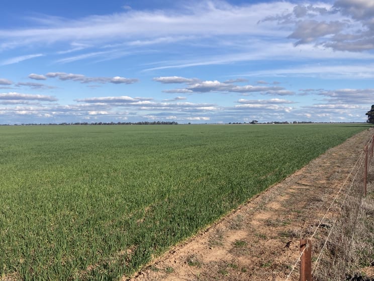 Click to view all images Hanns Road Sea Lake VIC 3533 - Image 1