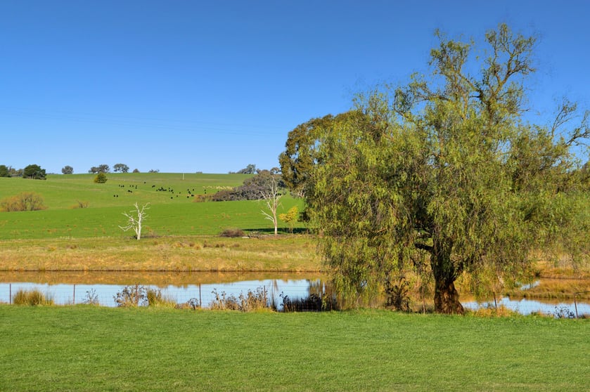 Click to view all images Hillgrove 1097 Keajura Road Ladysmith NSW 2652 - Image 2