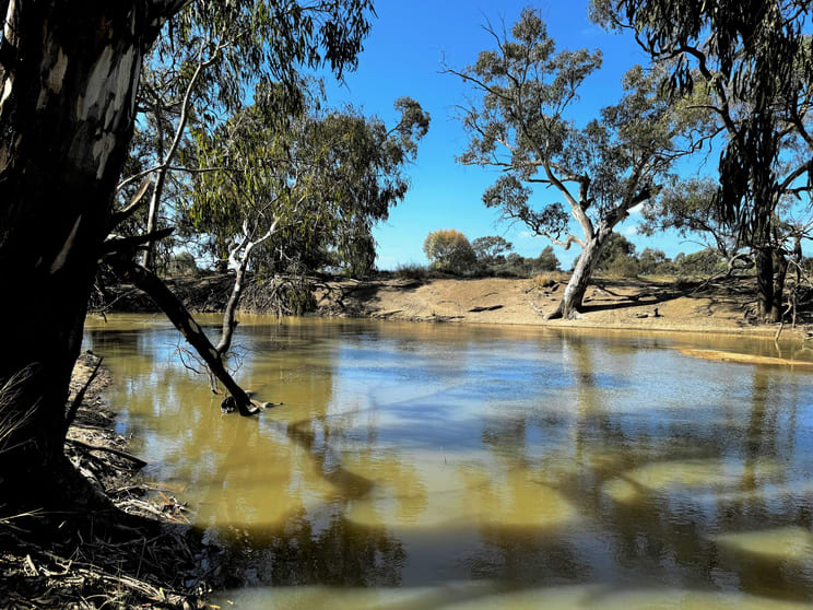 Click to view all images "Cumnock Creek" Brassi Road Deniliquin NSW 2710 - Image 1