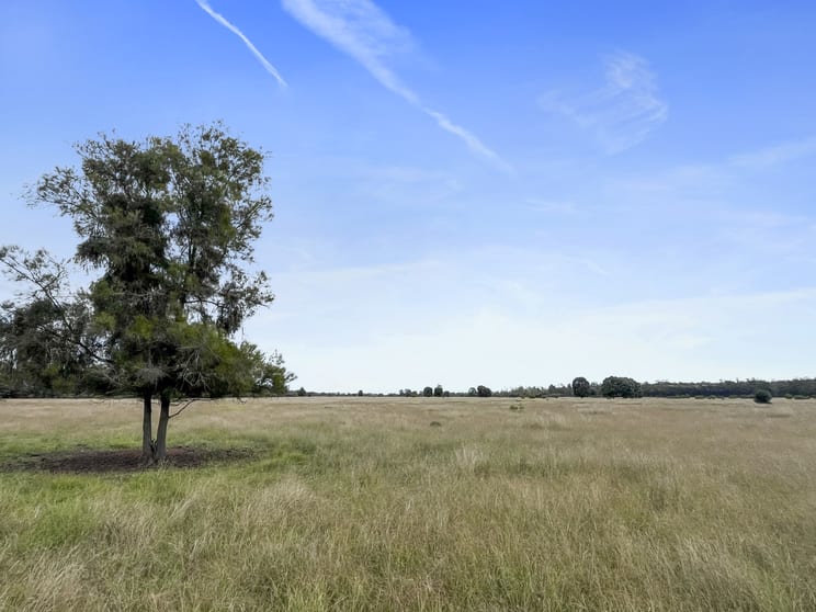 Click to view all images 1831 Pelican Back Road Burncluith QLD 4413 - Image 2