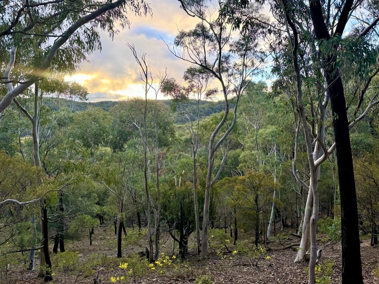 Click to view all images Lot 189 Marble Hill Road Goulburn NSW 2580 - Image 3