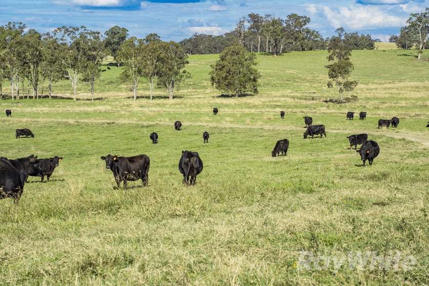 Click to view all images 4469 Clarence Town Road Dungog NSW 2420 - Image 2