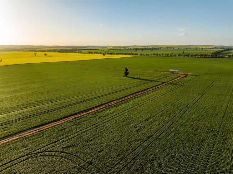 Click to view all images 'Green Hills' 146 Seventeen Mile Mail Road Marrar NSW 2652 - Image 3