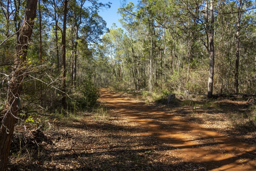 151 Cameron Road Taromeo QLD 4314 - Image 2