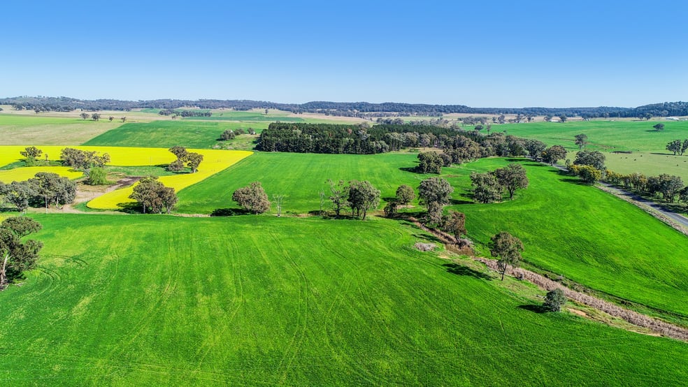 Click to view all images 'Belvedere' 565 Gollan Road Goolma NSW 2852 - Image 2