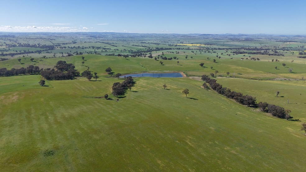 Clunes Dam, Islands Road Cowra NSW 2794 - Image 1