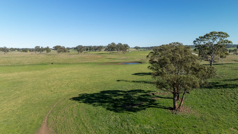 Click to view all images 5016 New England Highway Guyra NSW 2365 - Image 1