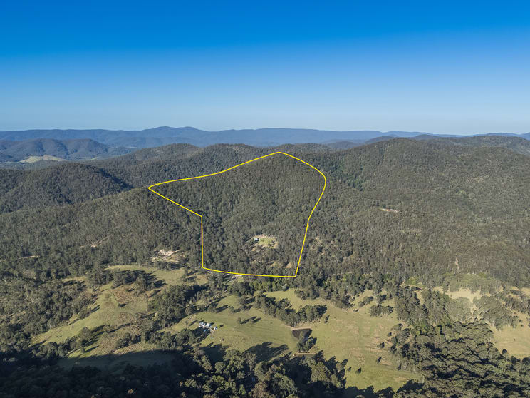 Click to view all images 1590 Mill Creek Road, Terreel via Stroud NSW 2425 - Image 2