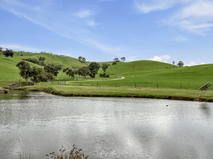 Click to view all images 146 Hobans Road Alexandra VIC 3714 - Image 1