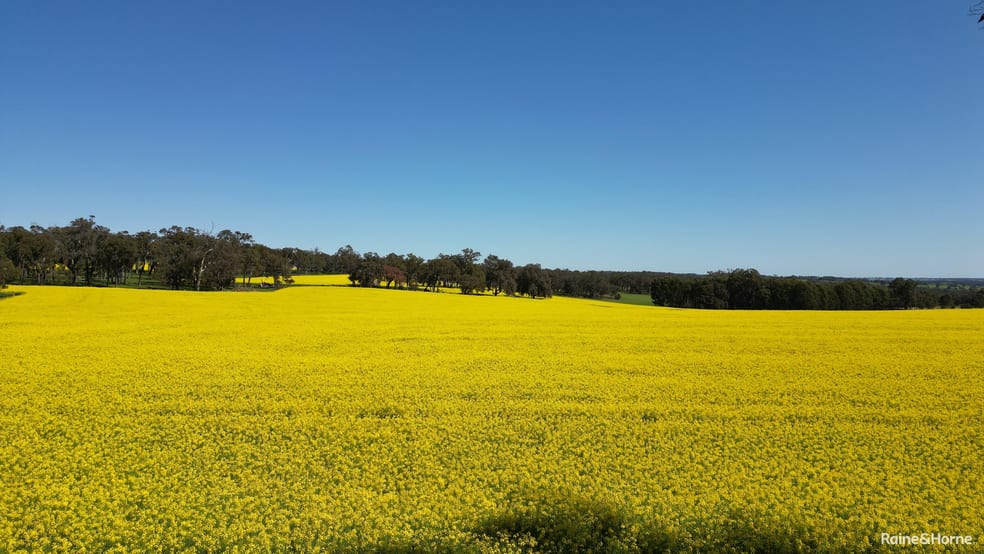 670 Six Mile Road Mayanup WA 6244 - Image 2