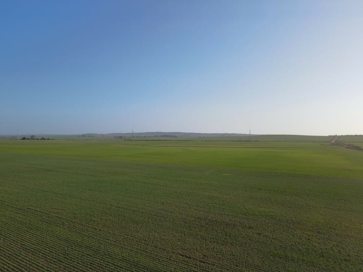 Click to view all images 222 Nicholls Rd Booleroo Centre SA 5482 - Image 3